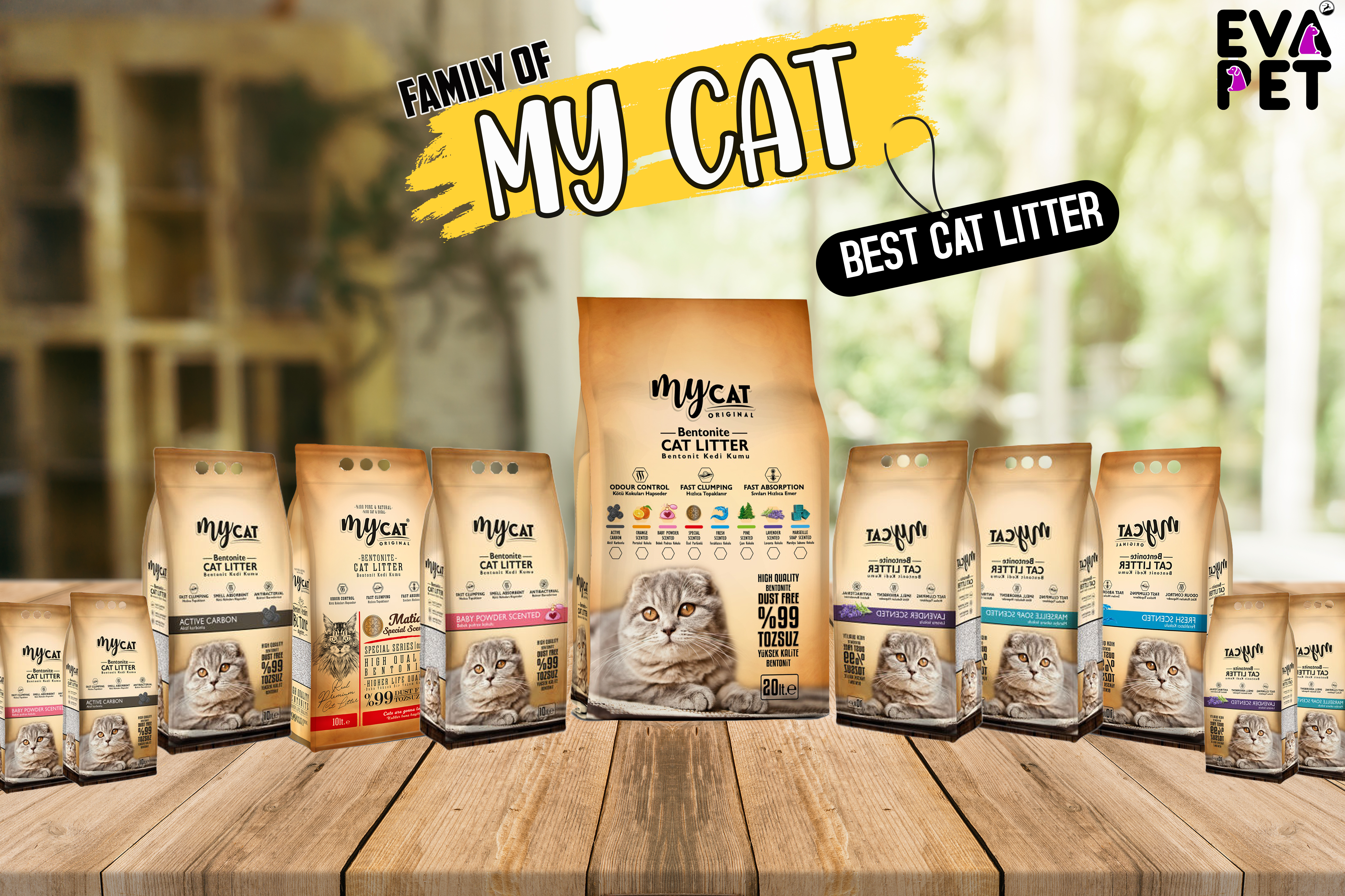 Learn More About Cat Litter
